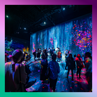 Have fun along the way